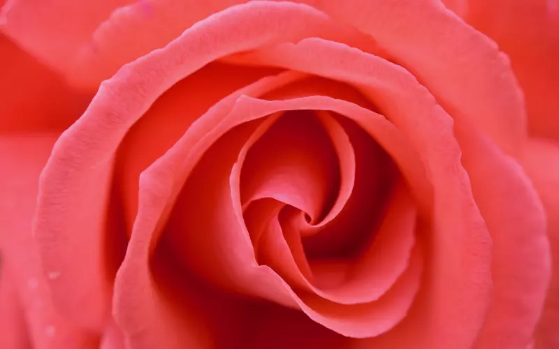 挽回爱情之女生应该怎样挽回男友的心