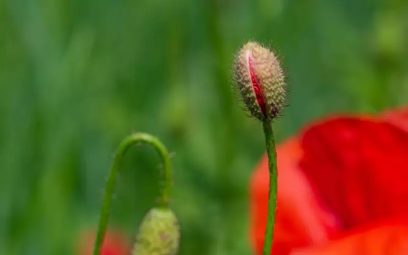 离婚边缘女人该如何挽回婚姻，用对方法及早挽回！