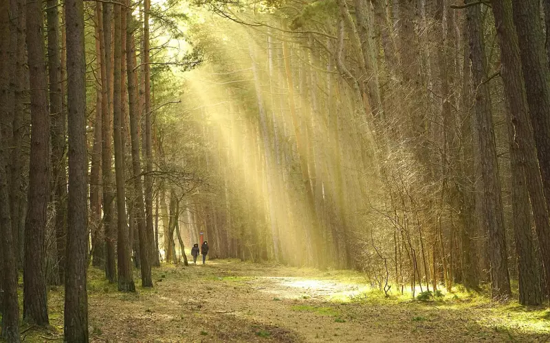 情侣复合后该如何相处