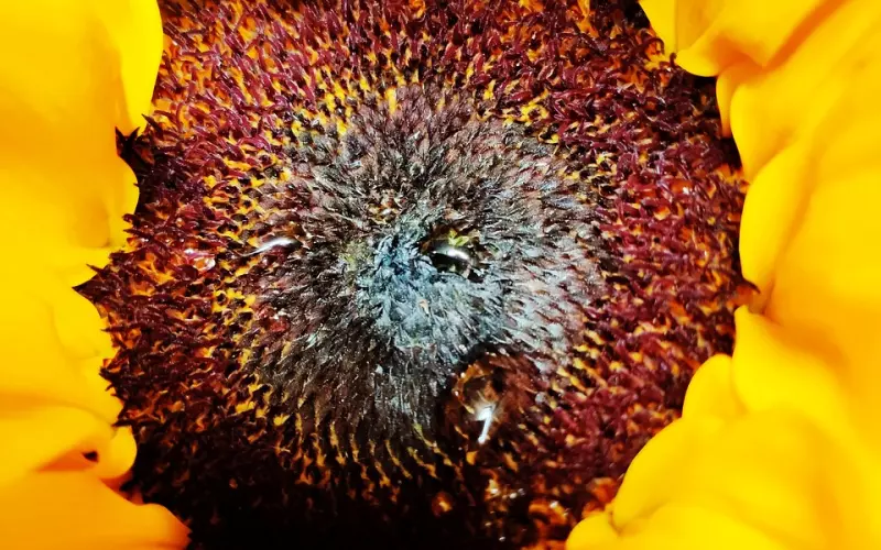 现在的女孩子，该如何经营自己的美好和价值