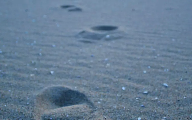 老公有外遇提出离婚该如何挽留？挽回老公的3步走