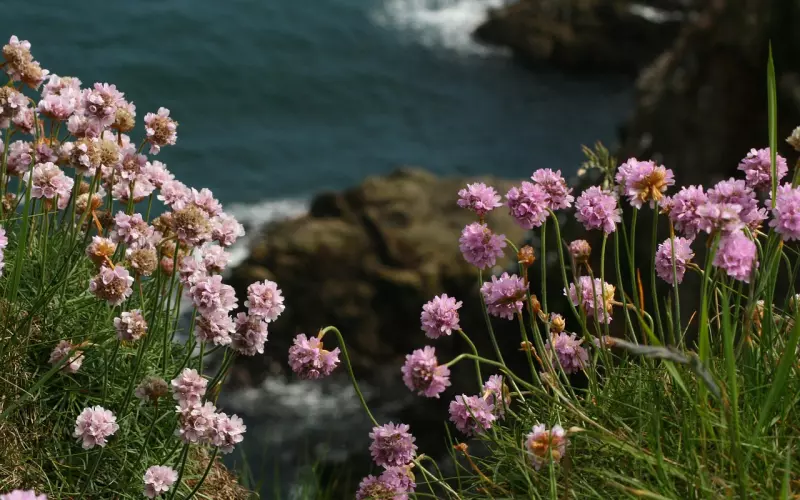 爸妈节俭过度该怎么劝说