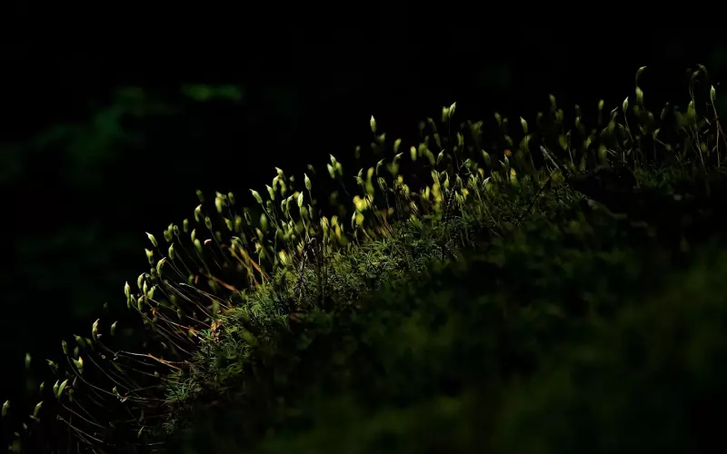 老公精神出轨应该如何挽回？4个挽回方法了解下