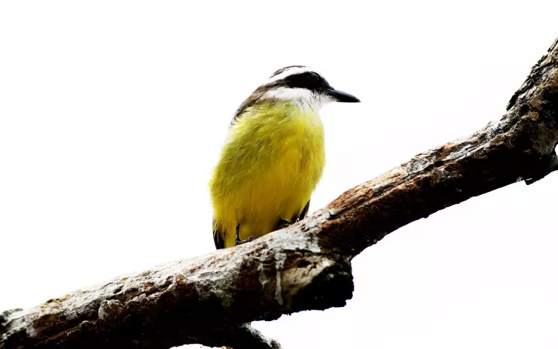 老公出轨了我应该怎么挽回？