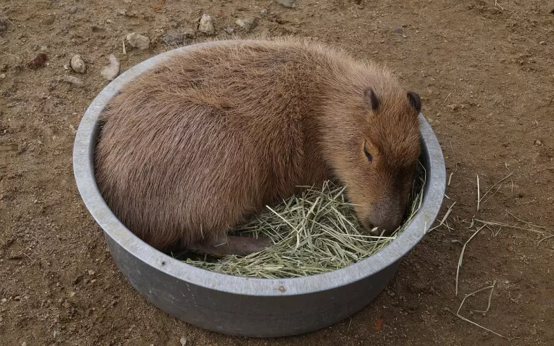 分手断联后男友跟我互动 我该如何挽回呢？