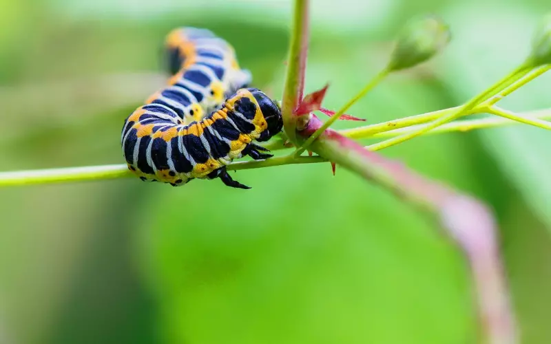 因为性格不合分手，我该如何挽回男友的心？