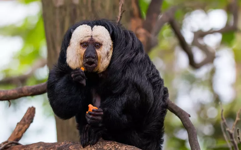 面对婚外情，我们应该如何挽回