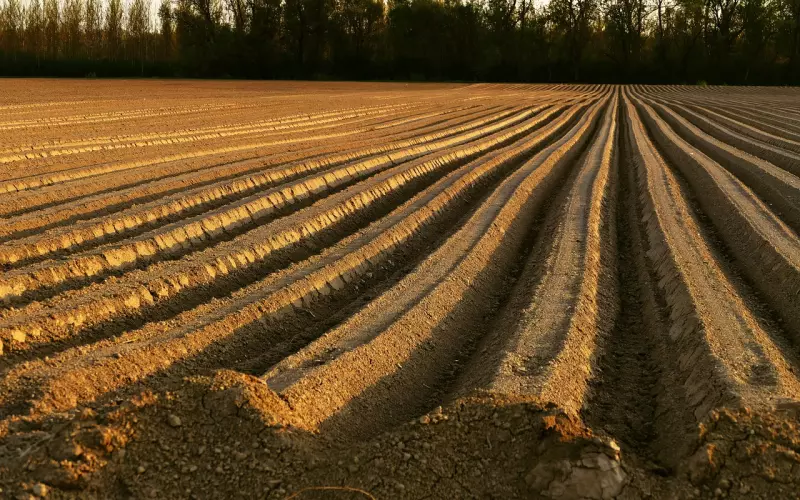 挽回中应如何调整自己的心态？