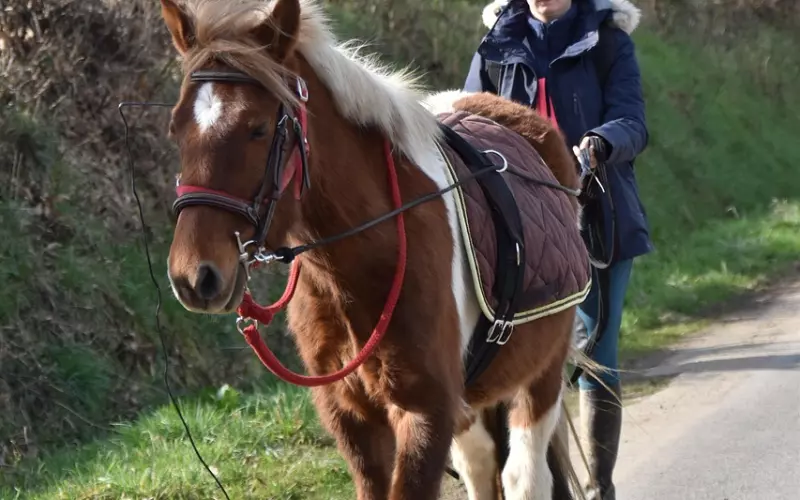 你和他的爱情，该如何走出分分合合的“怪圈”？