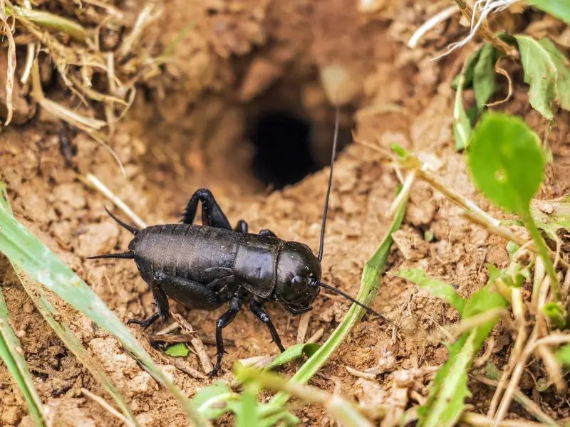 如果男朋友是个直男，应该如何相处？