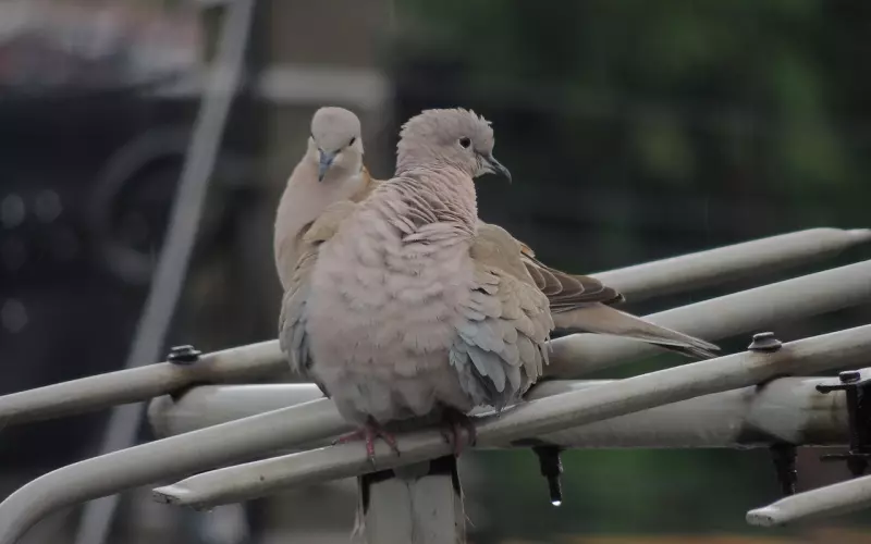 面对不同性质的分手，你该如何挽回？