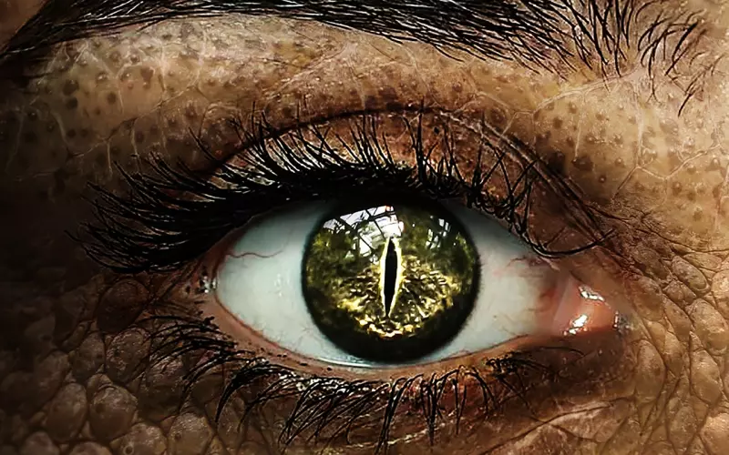 聪明女人如何处理老公出轨