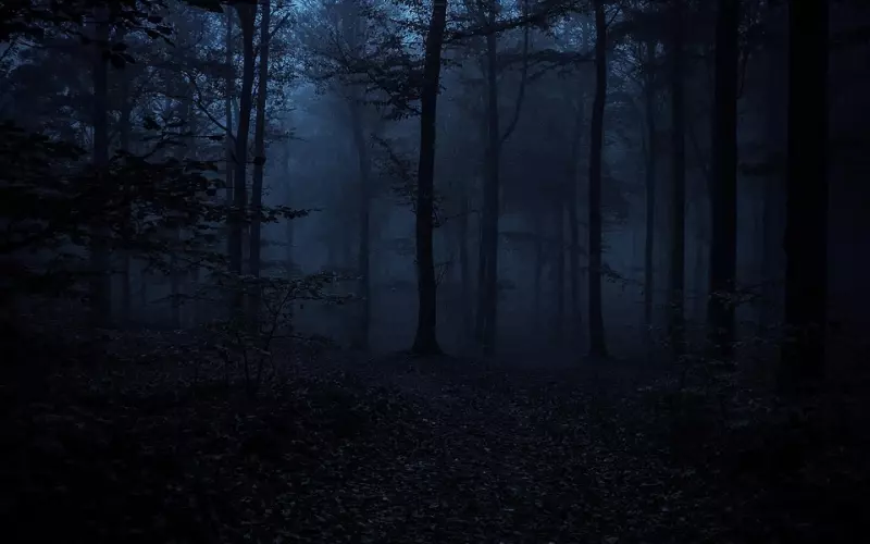 情商低的人到底有多可怕？