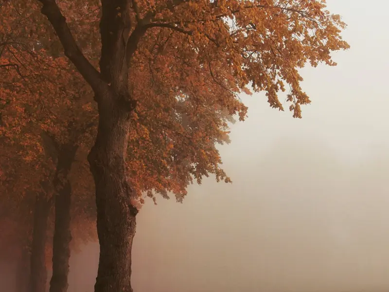 女人陷入“自我感动”的爱情，究竟有多可怕？