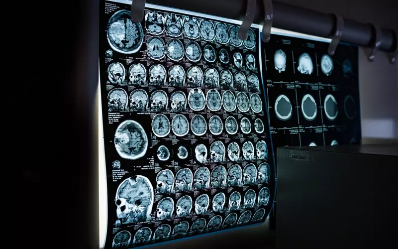 如何做到爱情挽回学中情感共振