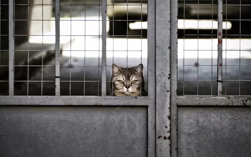 如何给“无聊”的婚姻生活加点欢喜？