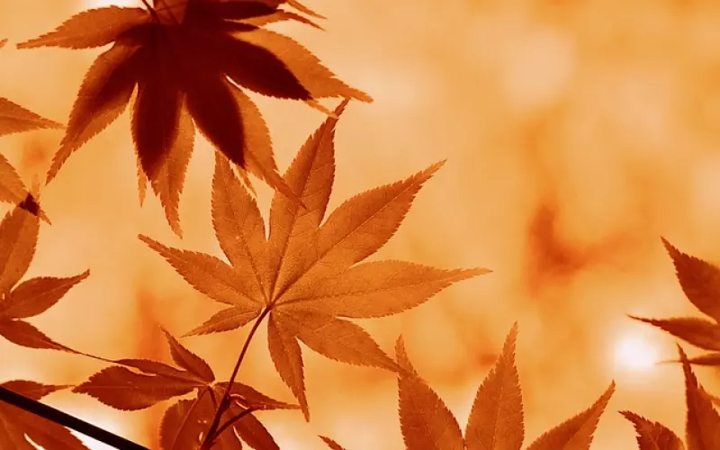 在分手后应该如何调整自己的情绪