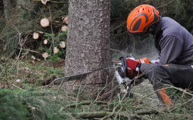 冷战期间该如何调整心态挽回男友？