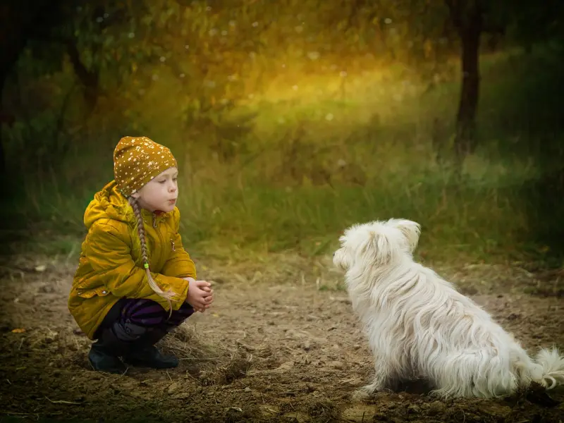 聊天如何调动女生的情绪？