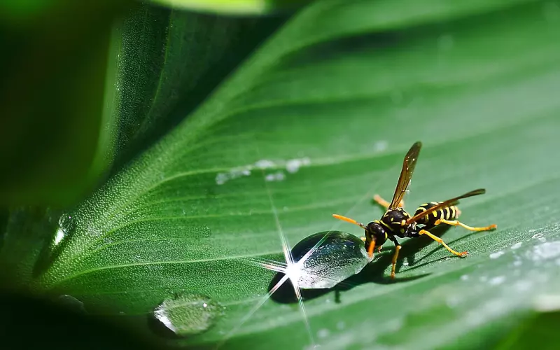 分手后如何唤起女友挽回欲望