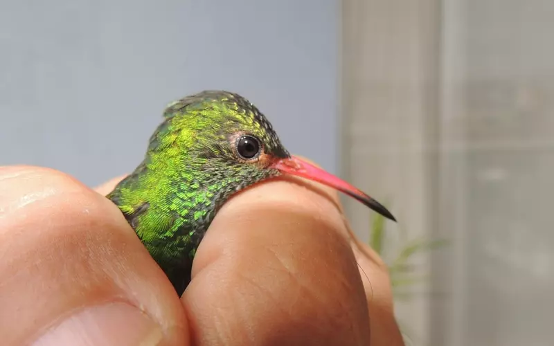 如何吸引女生？“坏男人”有时更吃香！