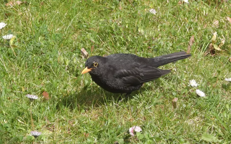 怎么避免在挽回中，对方拉黑自己