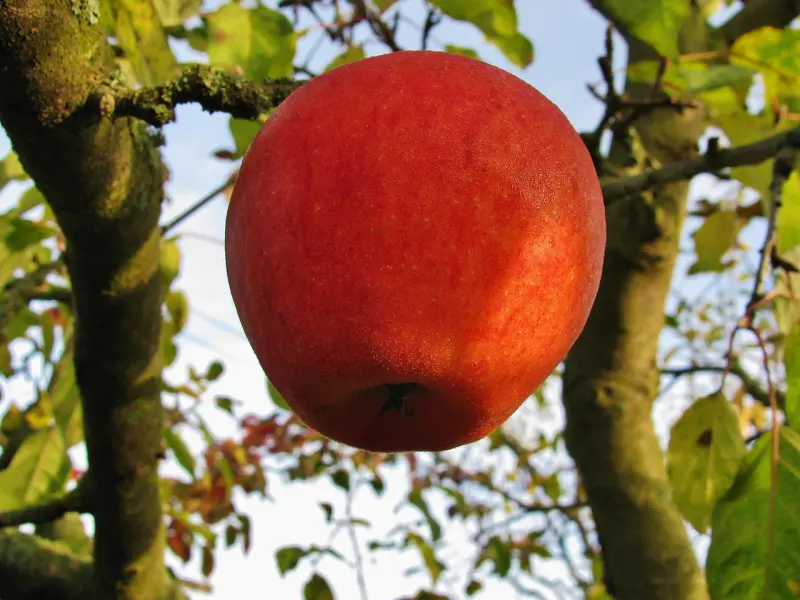 如何做一个让男朋友无法忘记的人