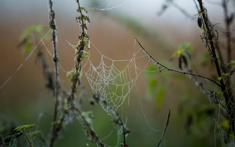 冰临晨下，如何优雅地做一枚前任