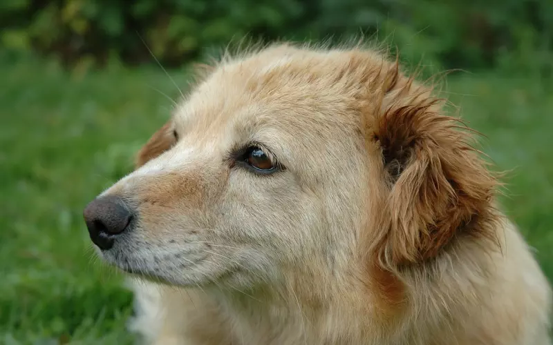 怎样做才能与前男友成为朋友？