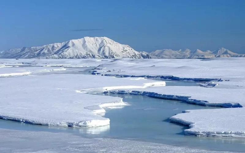 挽回冷冻后怎么破冰
