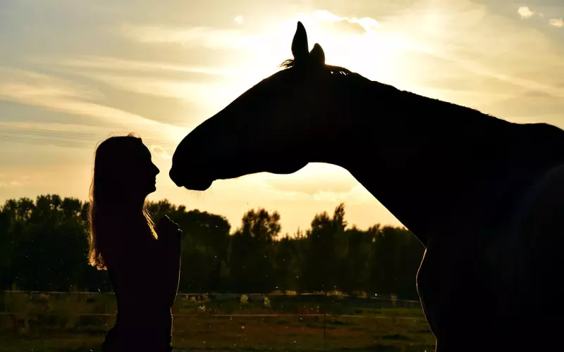 如何跟妹子从朋友关系突破成男女朋友关系？