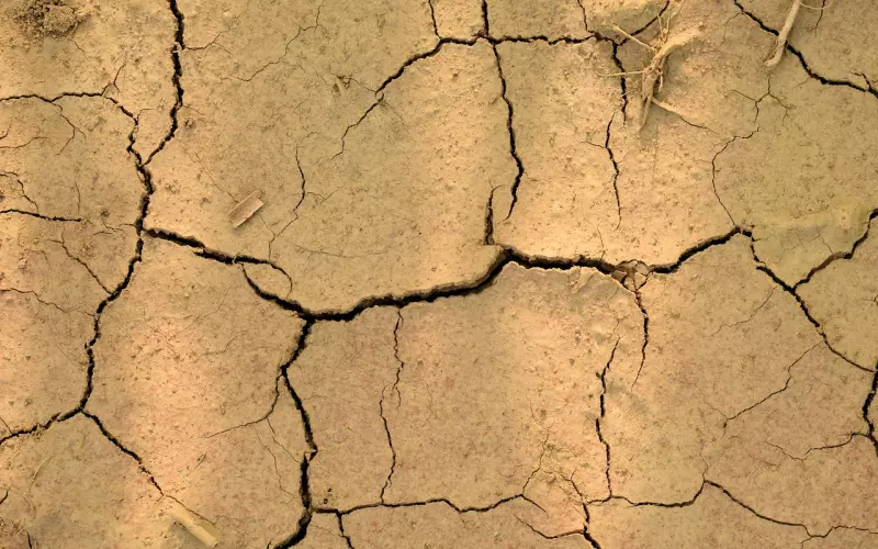 如何提出分手才不会伤害异地恋男友