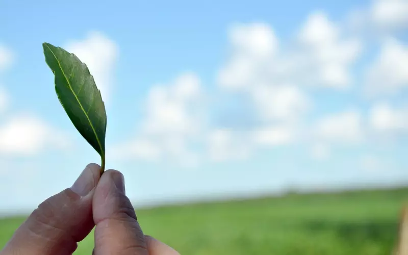 如何分手才不会伤害对方？