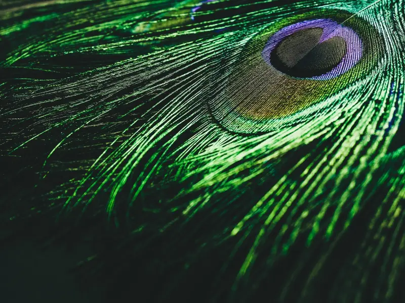 如何在聊天中建立吸引