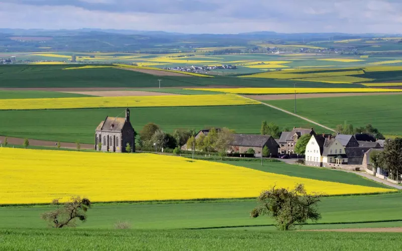 伴侣间如何开展高难度的沟通