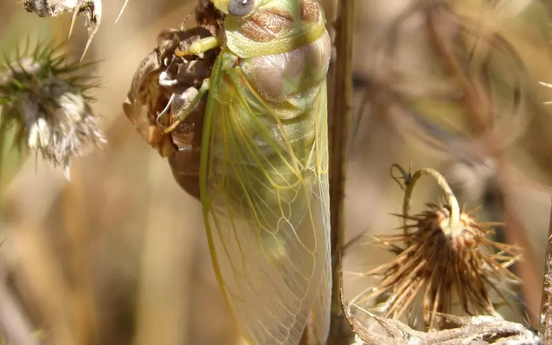 怎么改变一个人而不引起TA的反感丨亲密关系沟通指南