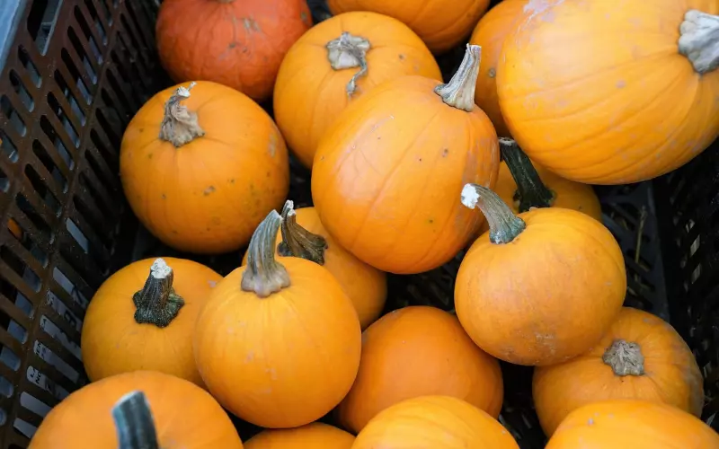 怎么改变前任挽回的态度？