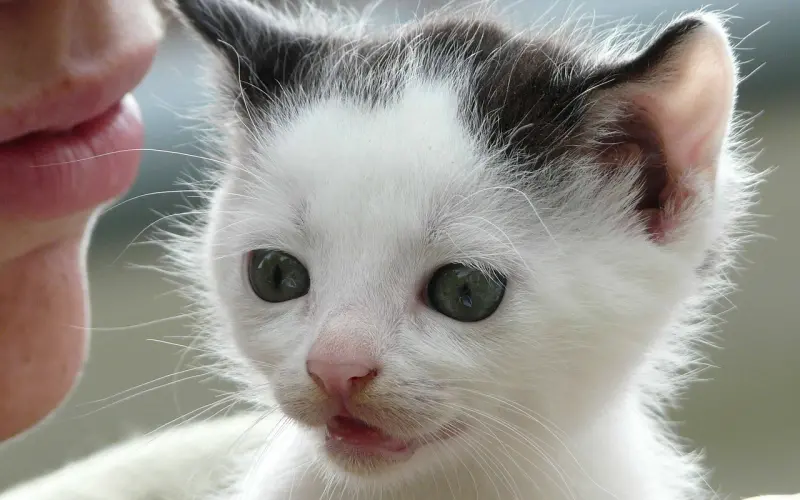 怎么追女生击中对方的心理需求，让她产生有感觉！