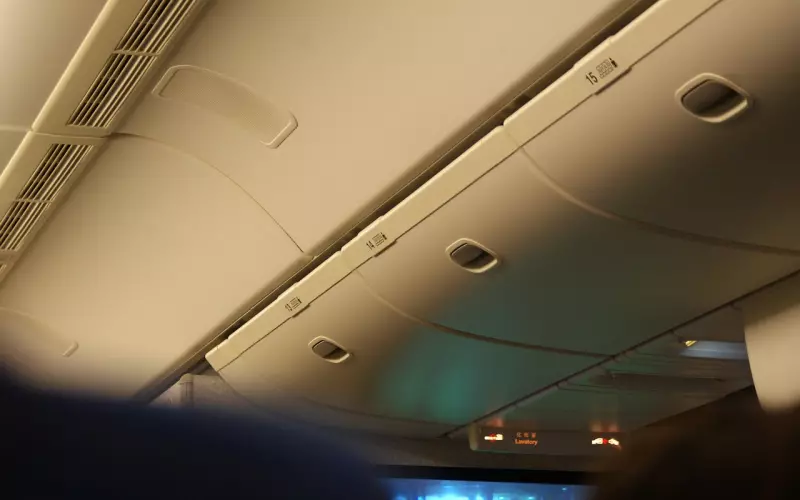 挽回爱情期间怎么聊天