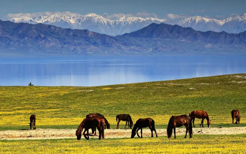 如何聊天挽回爱情(怎样聊天挽回爱情的话术)