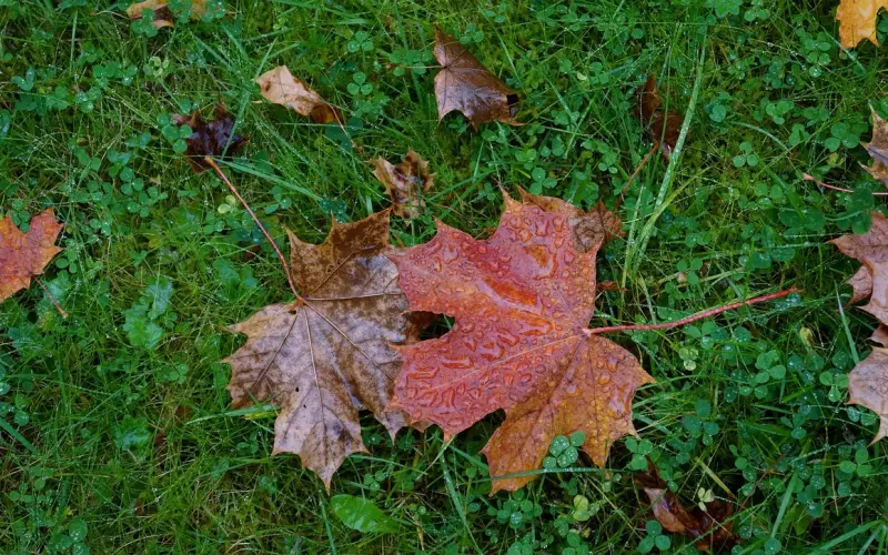 怎么和女生聊天？我们经常犯了6个错误