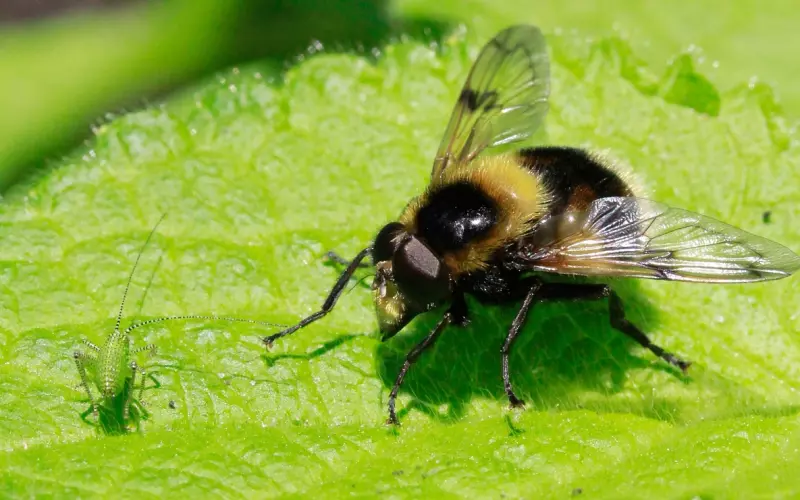 如何和异性聊天，挽回你的老公？