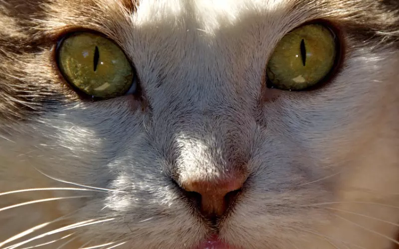 如何检验他有没有前任危机