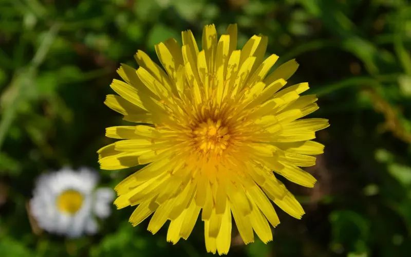 如何检验他有没有前任危机