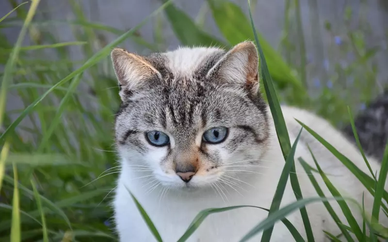 挽回聊天中怎么看对方是否同意复合