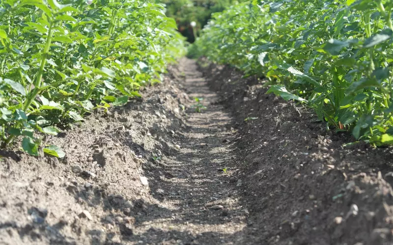 情侣之间怎么交流