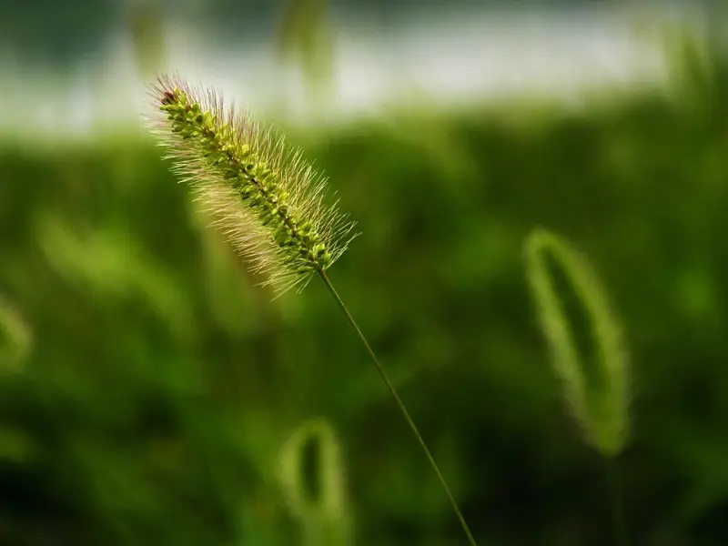 如何表白自己暗恋的女生