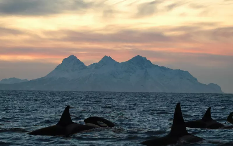 挽回中如何逆袭