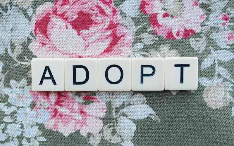 如何通过约会使你的挽回爱情水到渠成