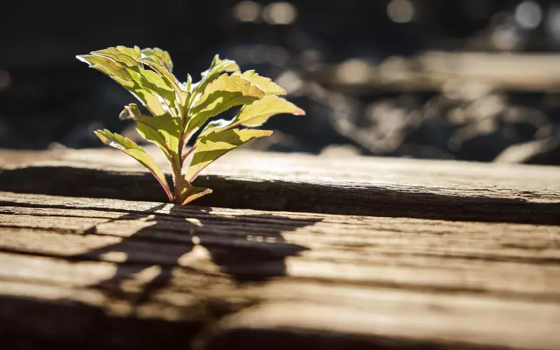 如何应对：出轨回归的男人与小三藕断丝连？